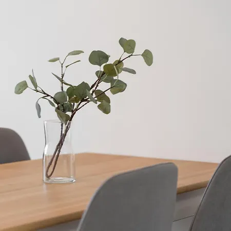 Emilii Plater Iv - Unique * Estetino